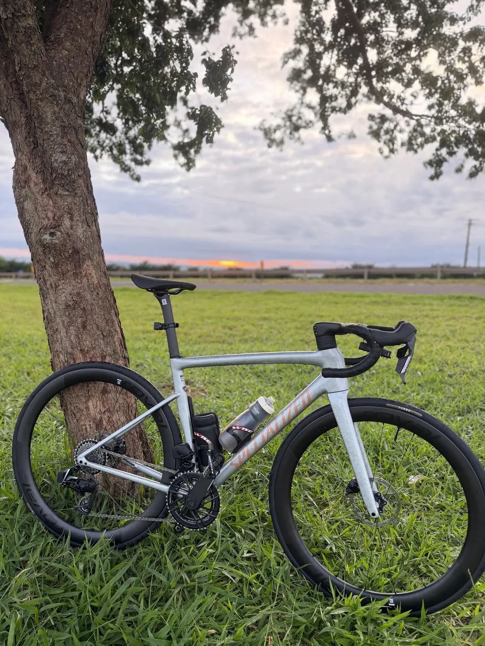 Speed Specialized Tarmac SL8 Pro 2026