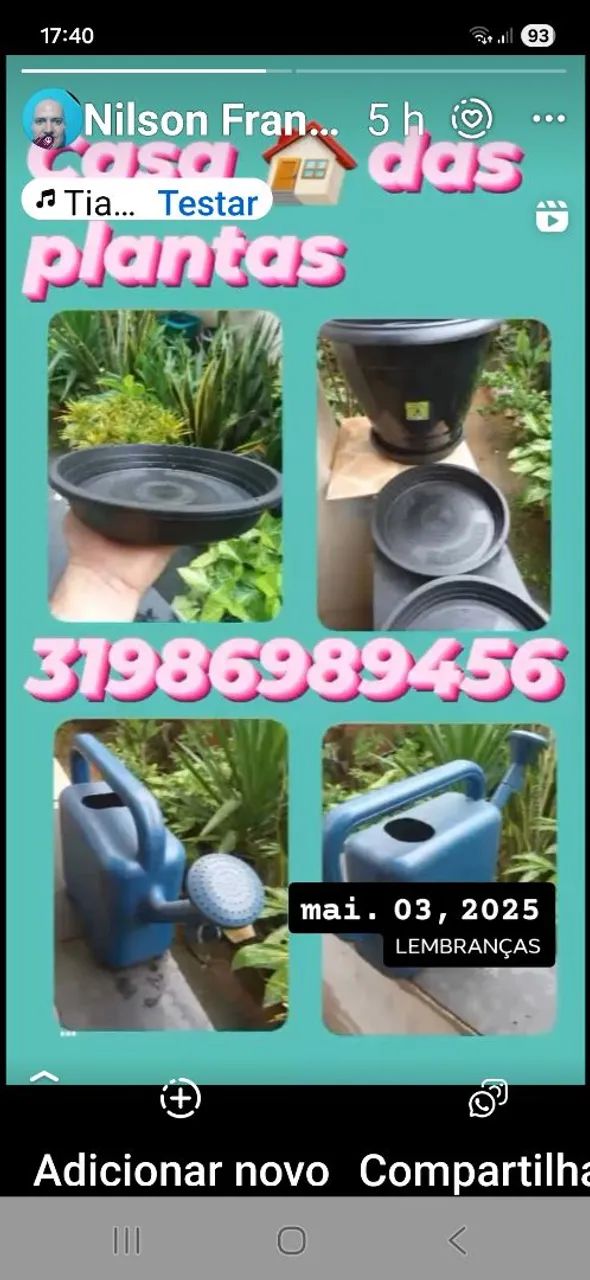 PLANTAS ORNAMENTAIS 100% natural  - Foto 4