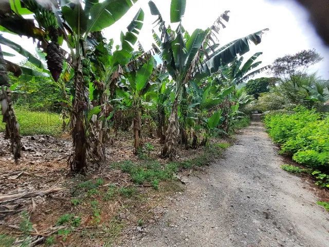 lote no Horto Baratinha - Foto 5