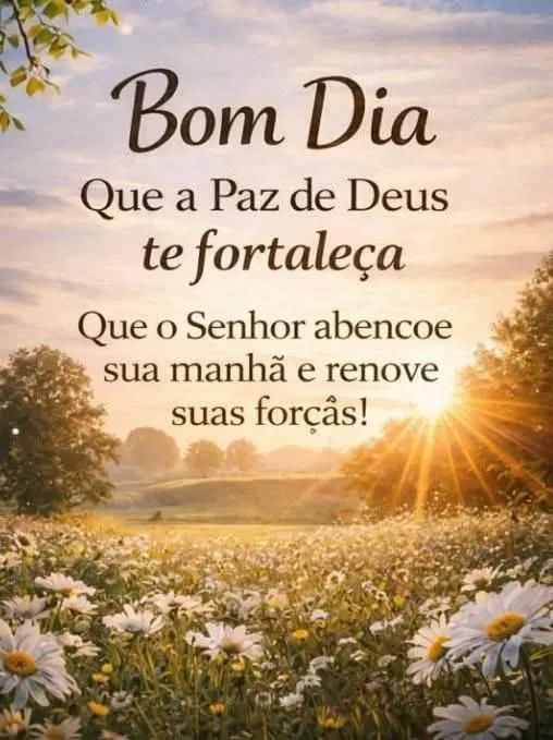 Sítios chácara
