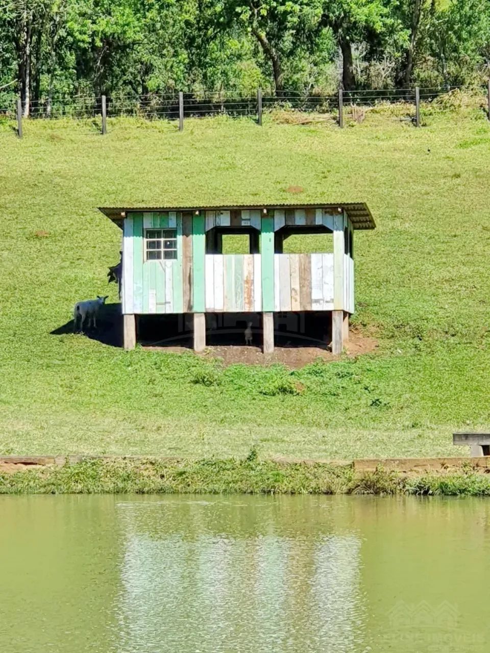 Chácara Alagado Castro - Foto 2