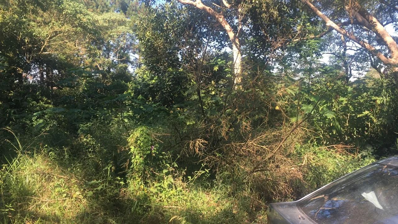 Foto - São Paulo - Jardim Ampliação