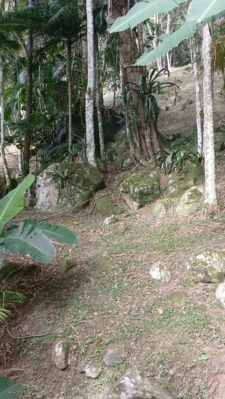 SÍTIO A VENDA em CAMBORIÚ  - Foto 5