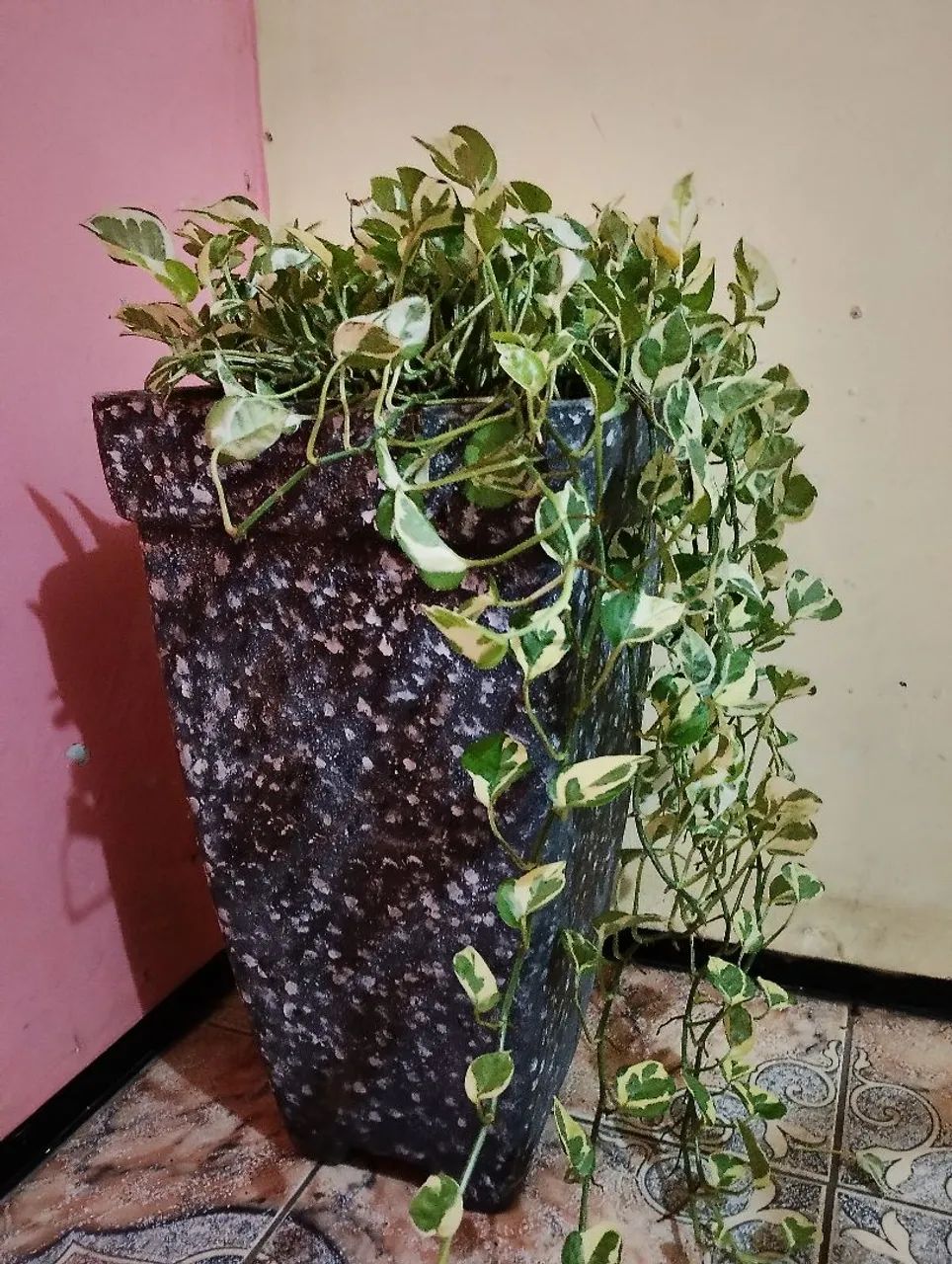 Jarros  - Foto 3
