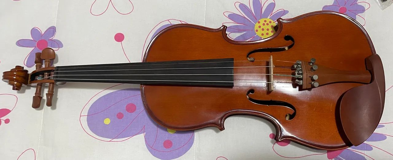 Violino Eagle VE-441 - Foto 3