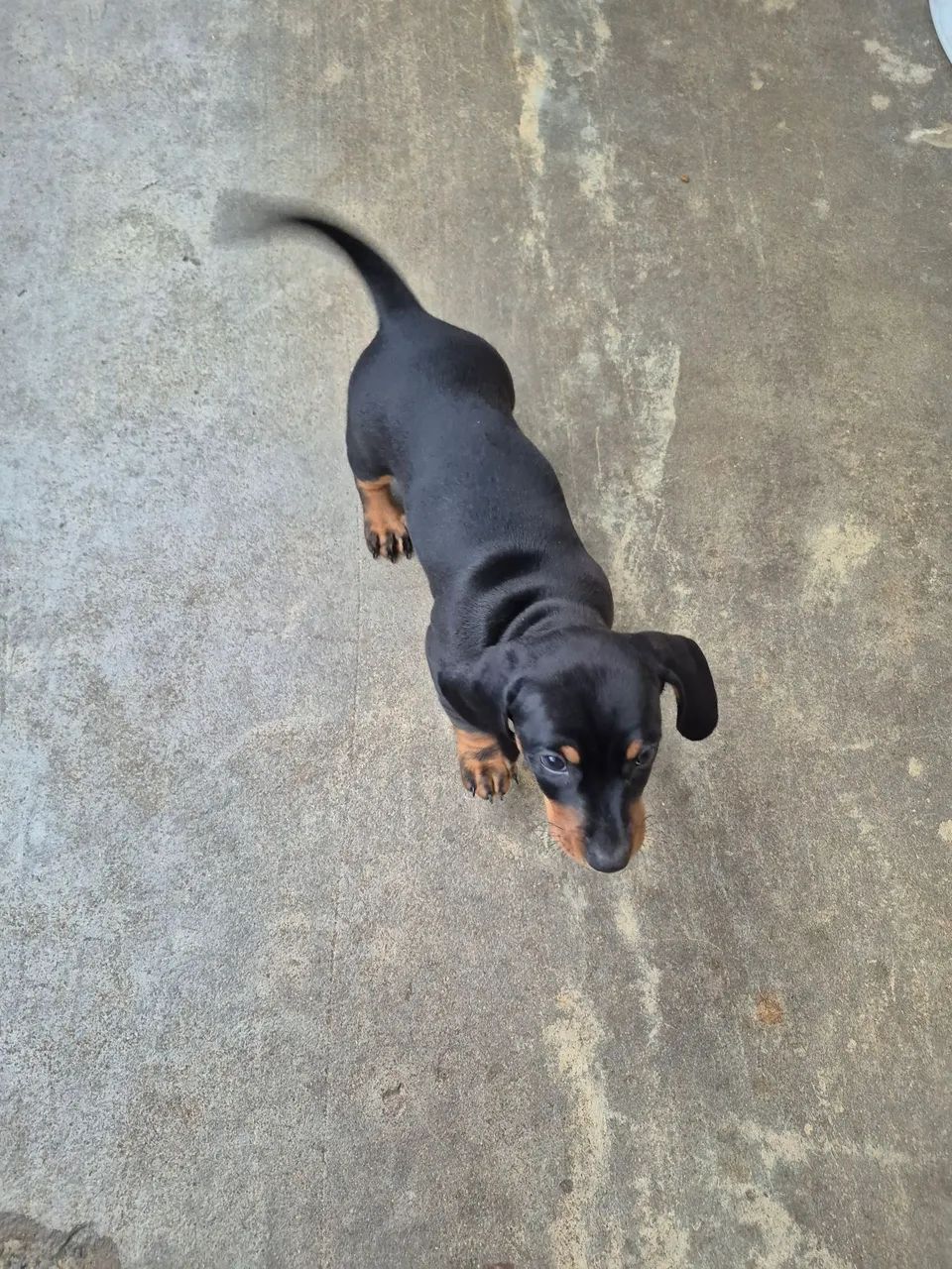 Vendo - Foto 2