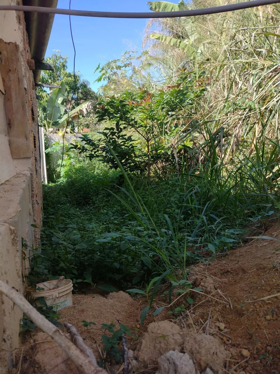 Vendo terreno + casa no estado . - Foto 5