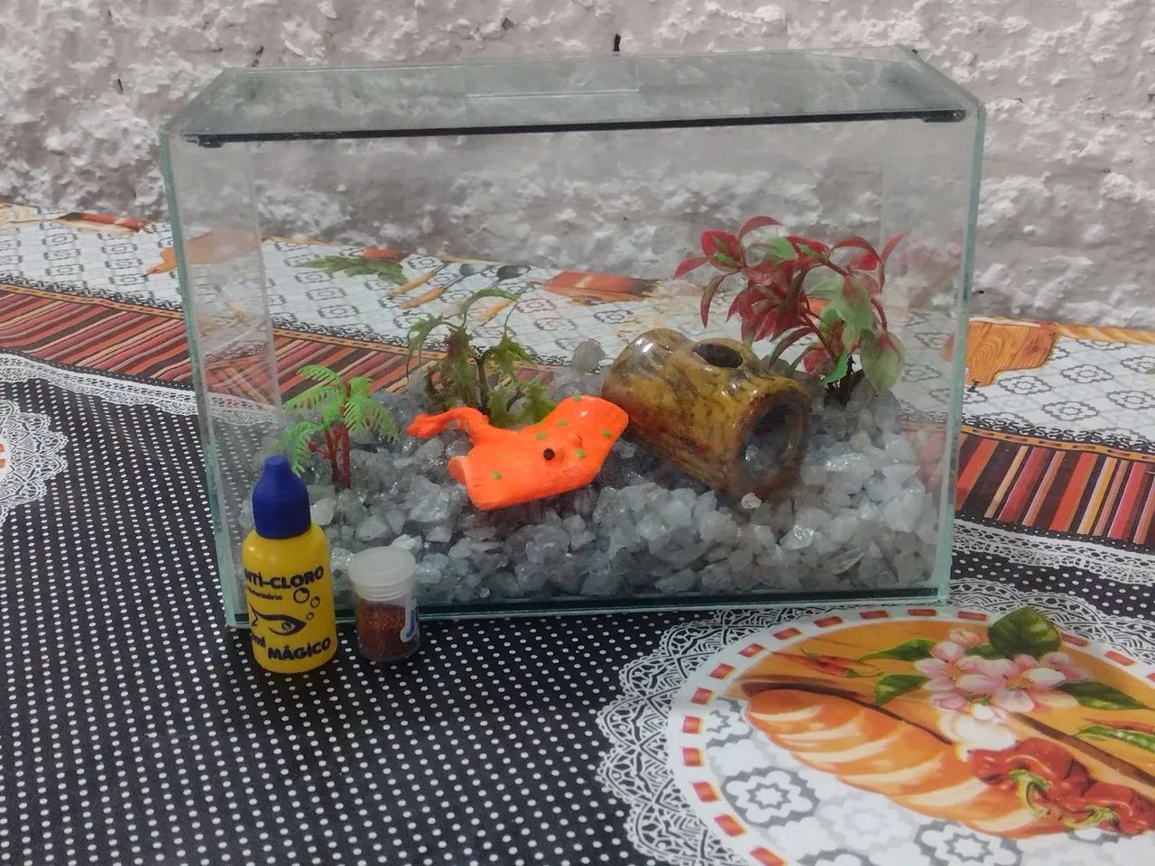 AQUÁRIO 5 LITROS COMPLETO+ ANTICLORO + RAÇÃO - ITAPETININGA  - Foto 4