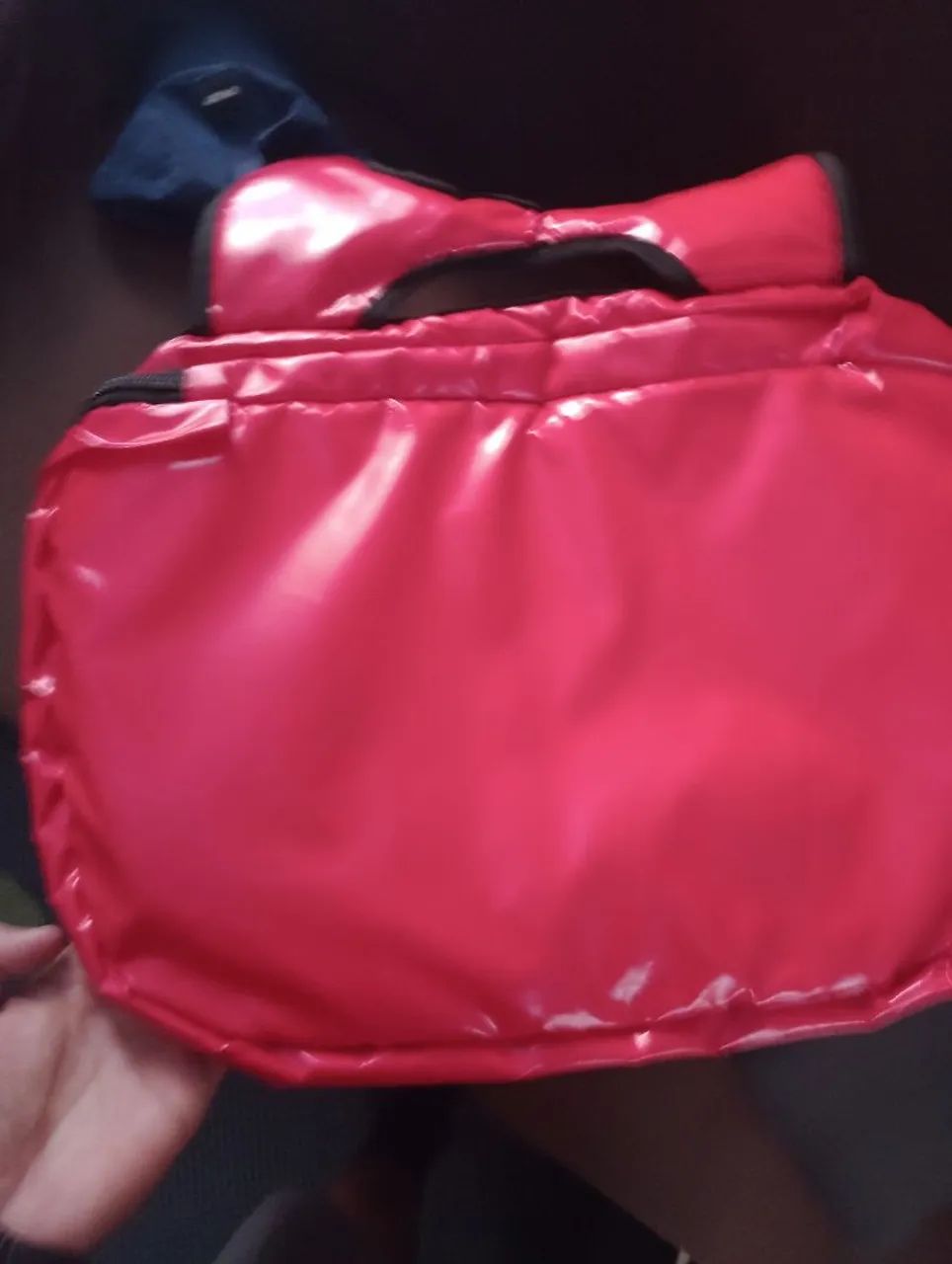 Vendo bag no precinho 100,00
