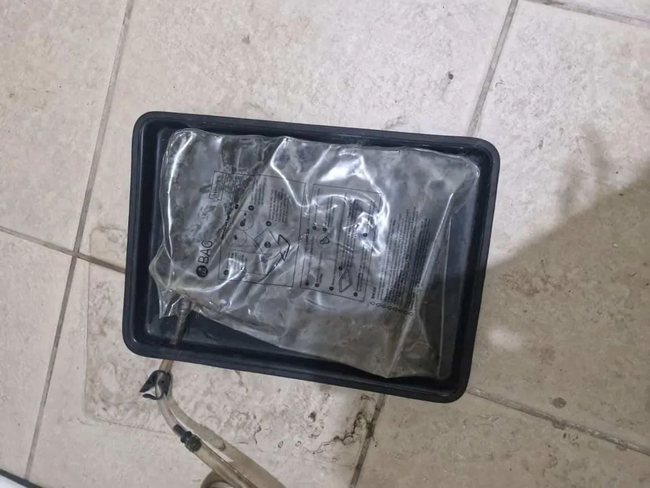 Weasy Dog grande  - Foto 4