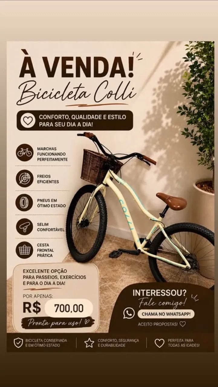 Bicicleta Colli, Aro 29