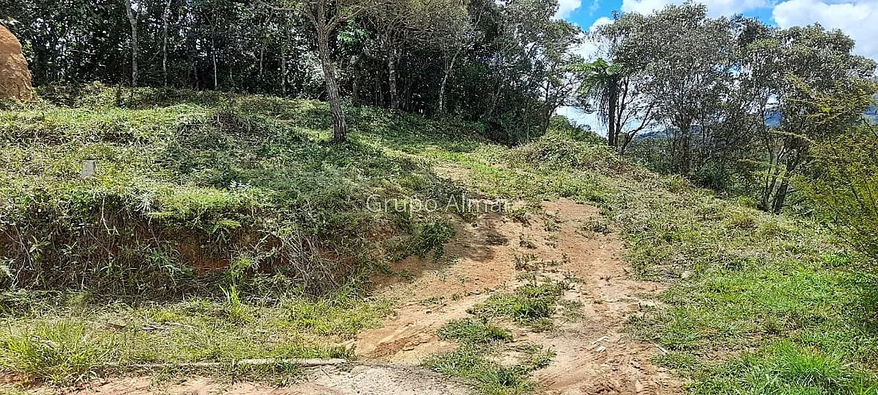 Lote / Terreno - Girassol - Foto 3