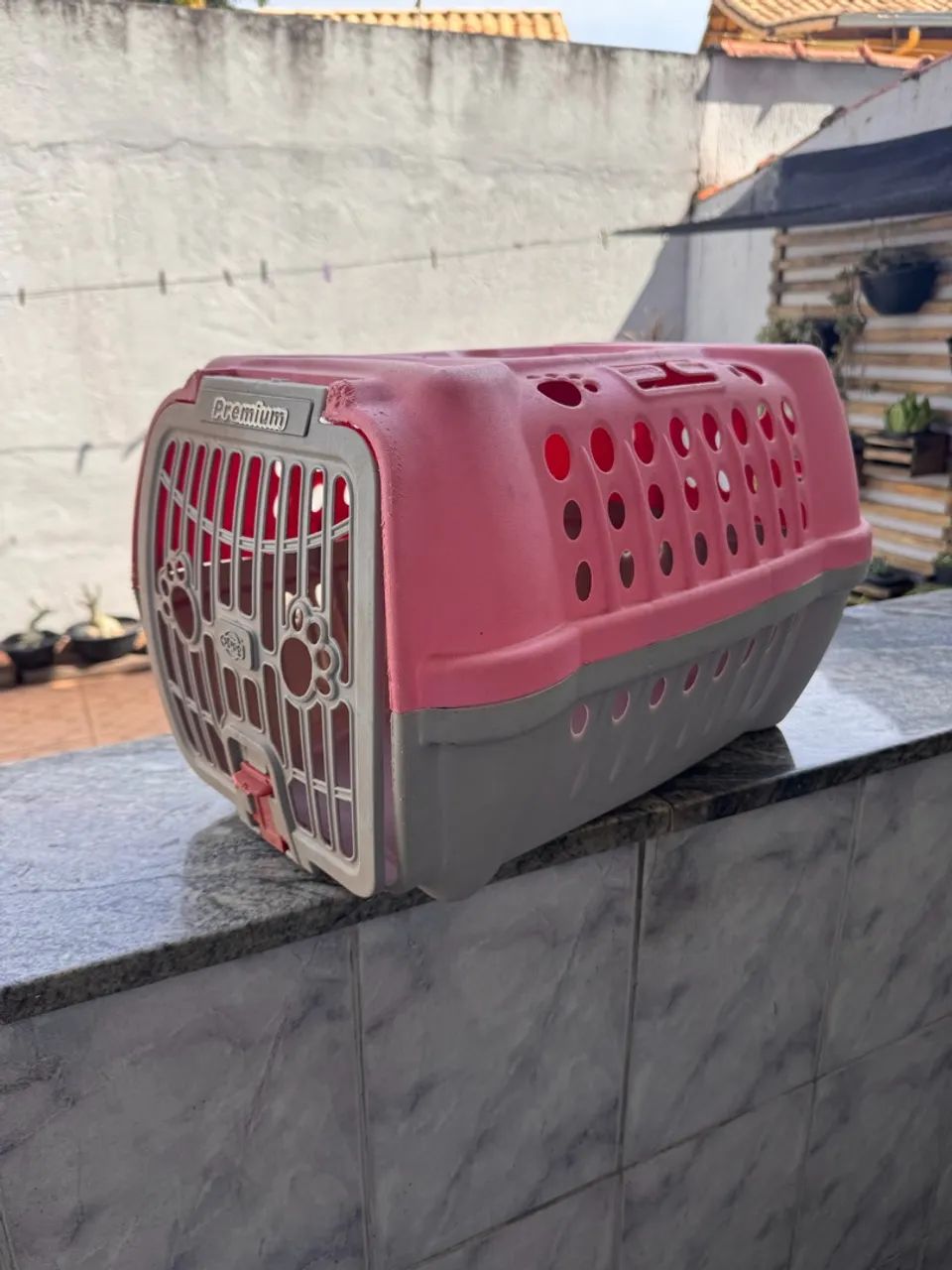 Transporte de gato cachorro 