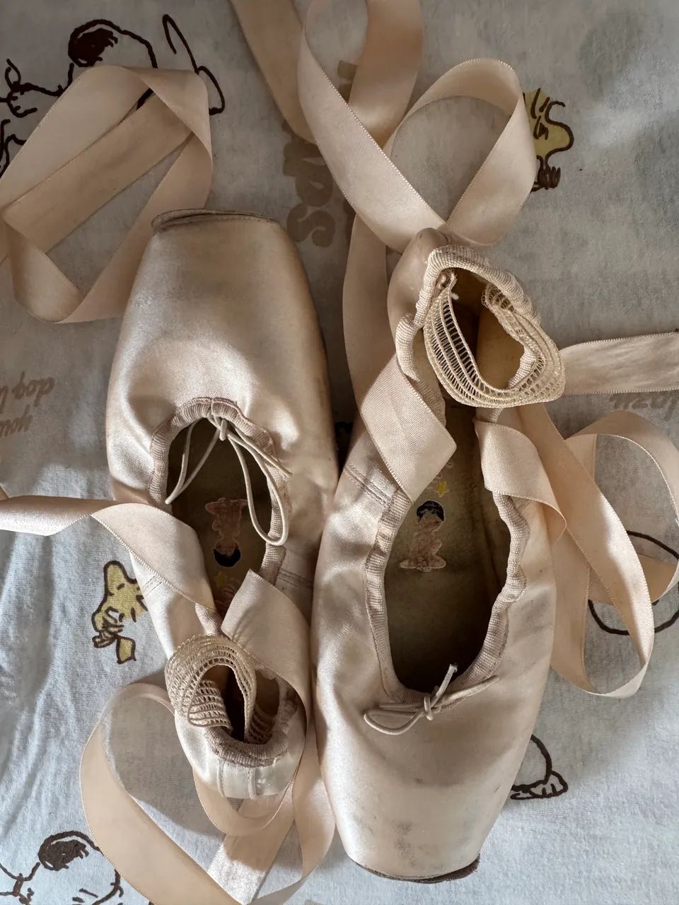 sapatilha de ponta (So dança)