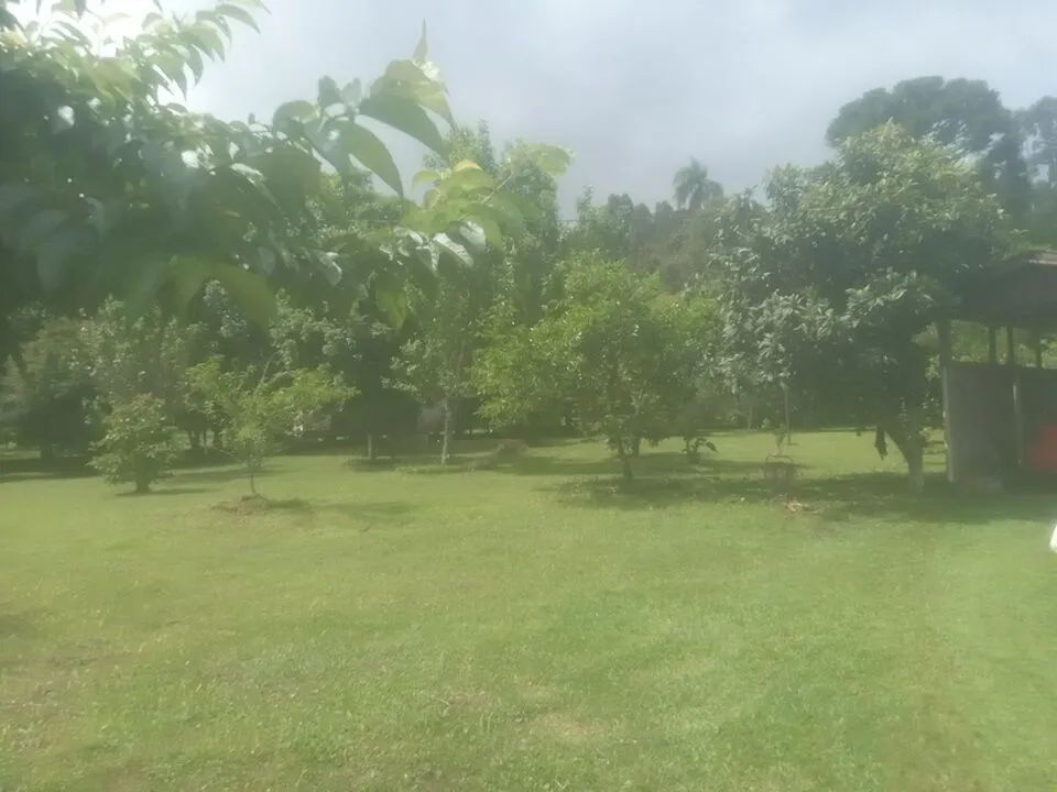 Chacara a venda  - Foto 4