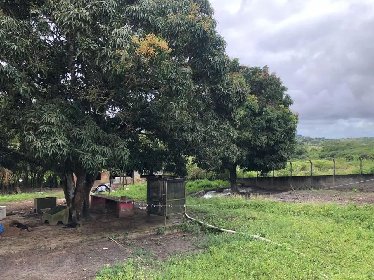 Excelente Terreno no Parque dos Faróis  - Foto 3