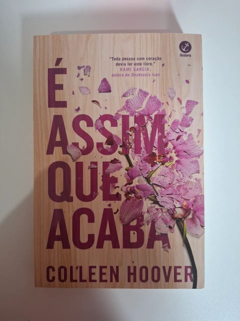 Livro "É assim que acaba"