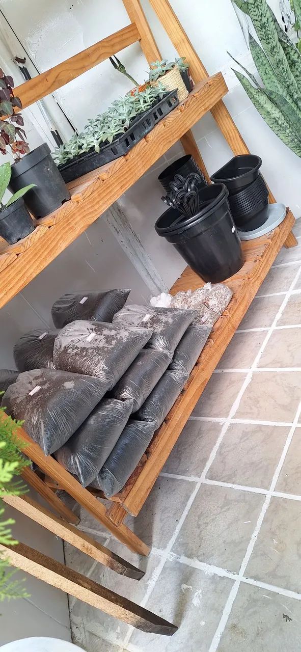 Substrato completo para plantas variadas  - Foto 2