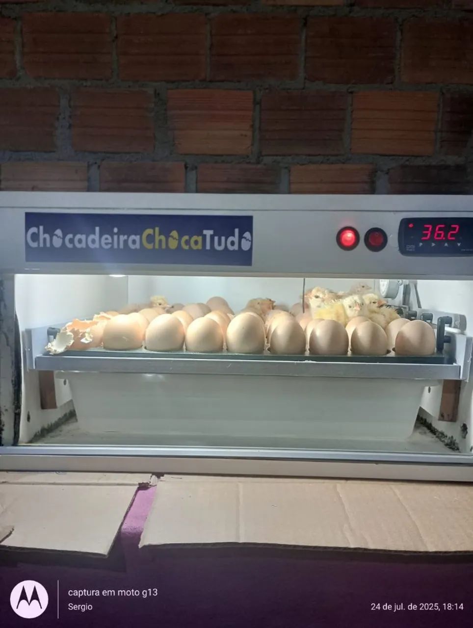 Chocadeira  - Foto 2