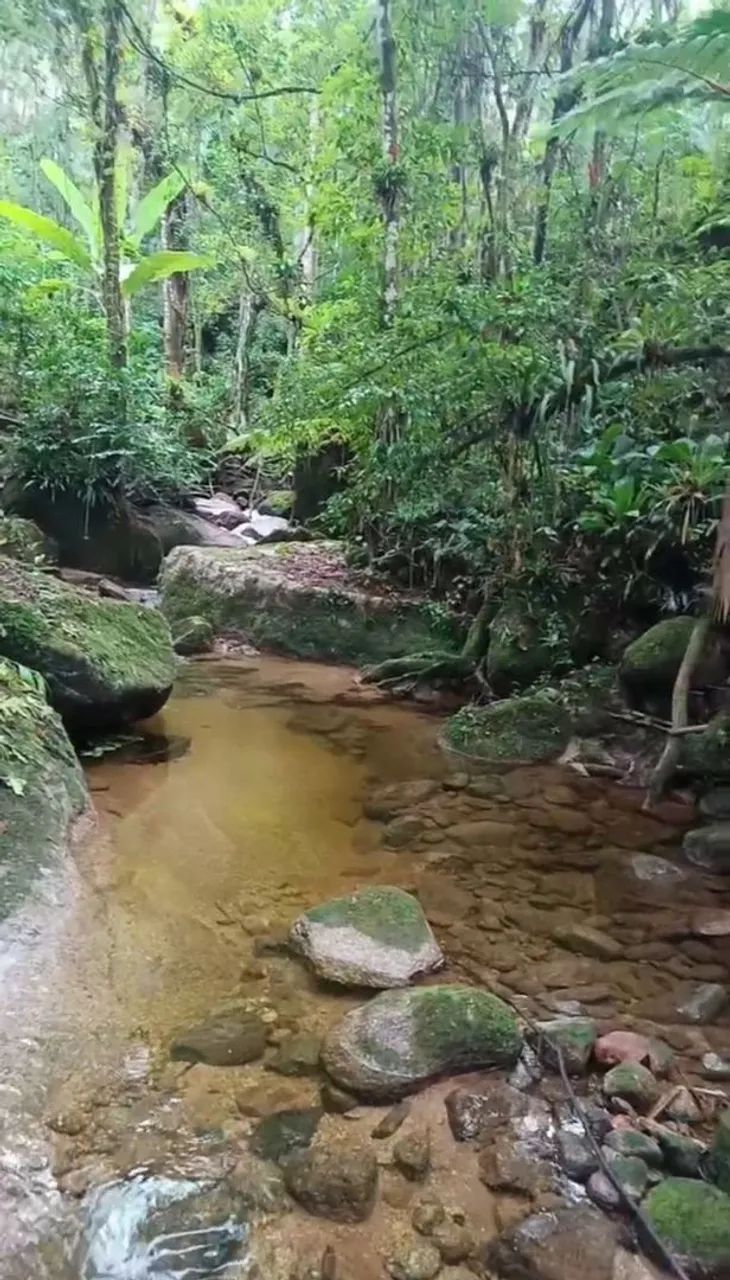 CHÁCARA COM CACHOEIRA