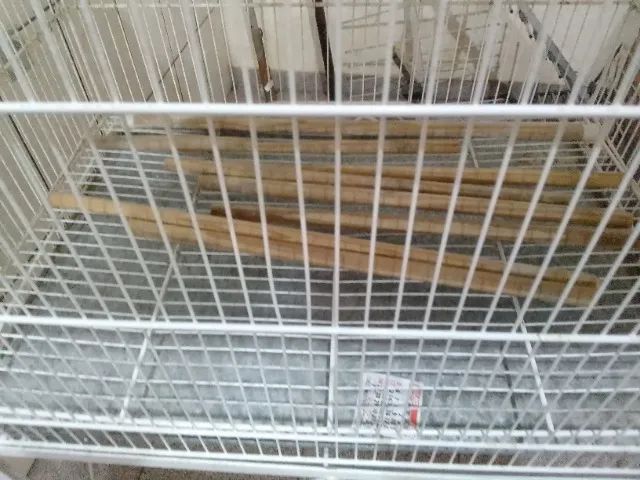 Gaiola - Foto 3