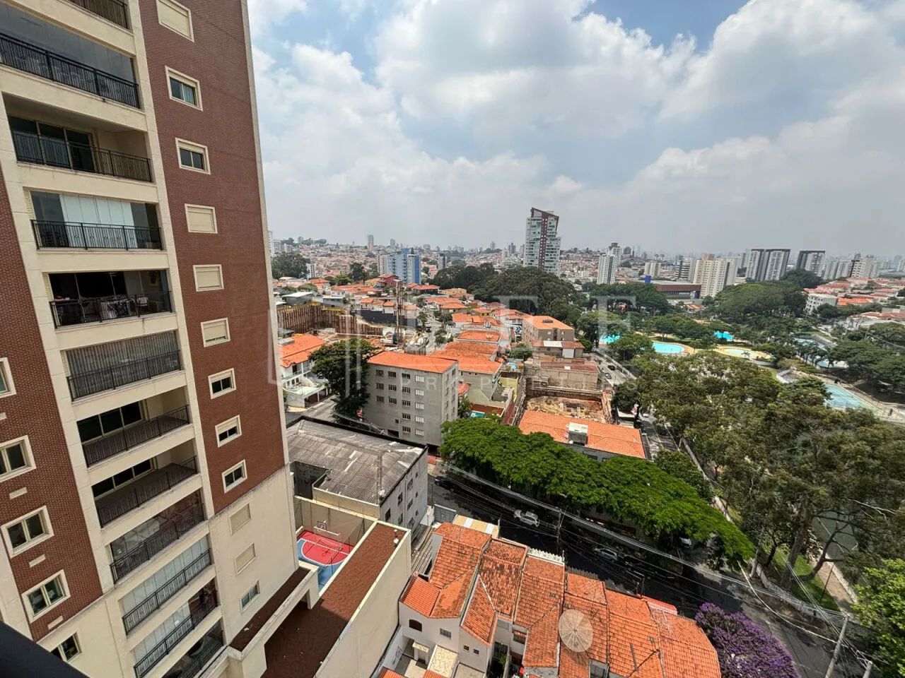 PARQUE Domingos Luís, Jardim São Paulo