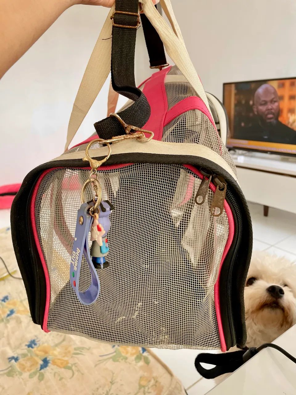 Bolsa de transporte PET  - Foto 2