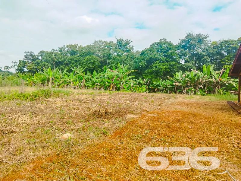 Terreno | Joinville | Pirabeiraba - Foto 5