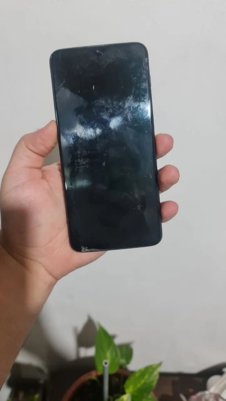 oneplus 6