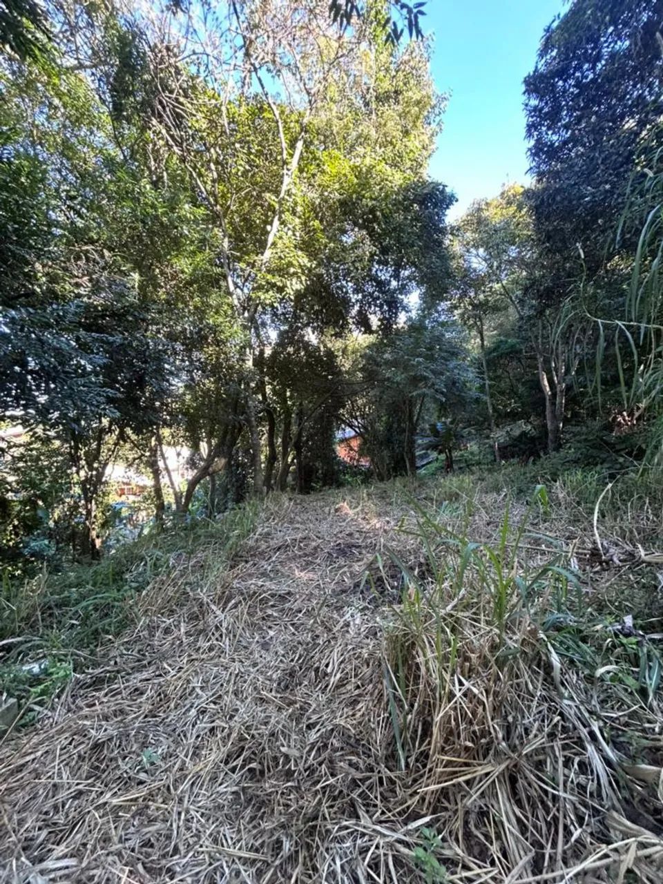 Vende-se Terreno 10x18 no saco dos limoes