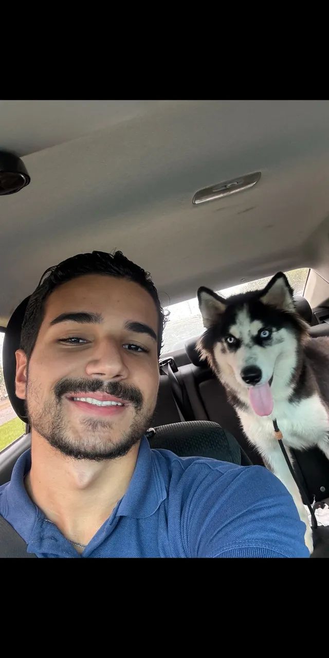 Husky Siberiano Macho para Cruzamento - Foto 4