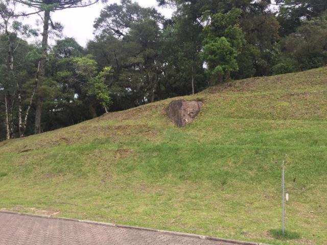 Terreno à venda, 1050 m² por r$ 779.249,00 - centro - canela/rs - Foto 4