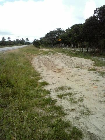 Jenipapo 840.000m2 pasto e floresta nativa - Foto 13
