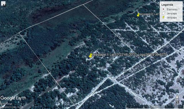Jenipapo 840.000m2 pasto e floresta nativa - Foto 6