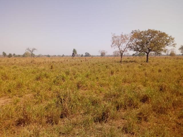 Fazenda a mais linda da região apenas 53 km de Cuiabá - Foto 15