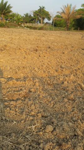 Terreno - Foto 7