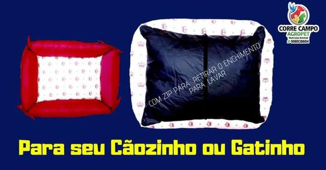 Cama Para Cachorro e Gato - Arranhadores Para Gatos - Foto 4