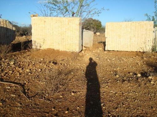 Exploração de Minério , terreno para plantação e criação de gado - Foto 2