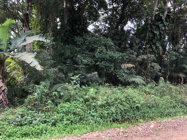 1368 Terreno no Bairro Costeira, ótima oportunidade - Foto 3