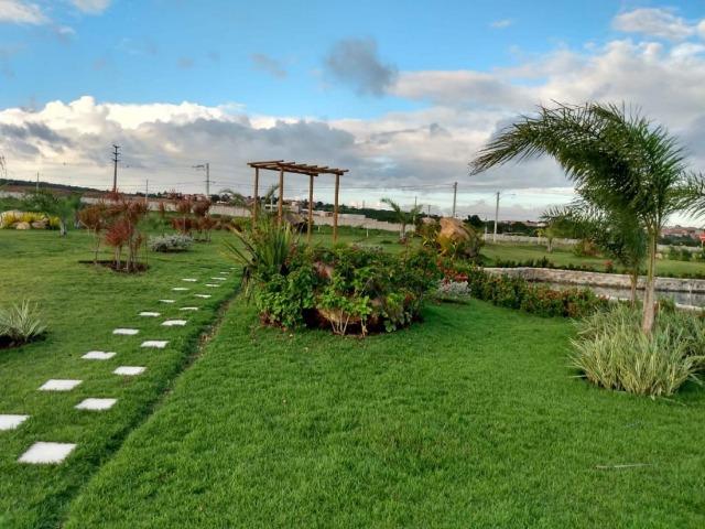 Oportunidade Passo Lote nascente R$65.000,00 Facilito entrada Jardimdas Tulipas - Foto 11