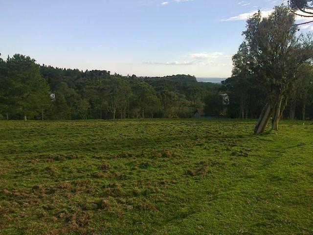 Maravilhoso Sítio - 10 hectares - Lages - Foto 2