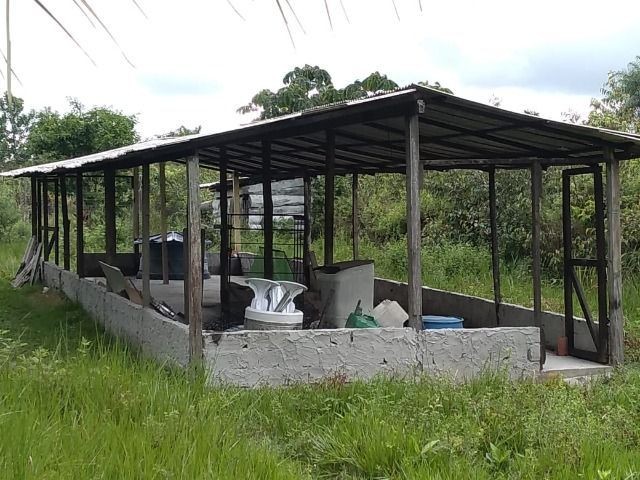 R$ 150 mil reais sitio com 3 hectares , escriturado a 23 km de Castanhal - Foto 5