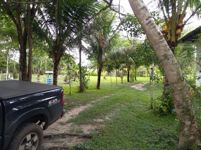 R$ 150 mil reais sitio com 3 hectares , escriturado a 23 km de Castanhal - Foto 13