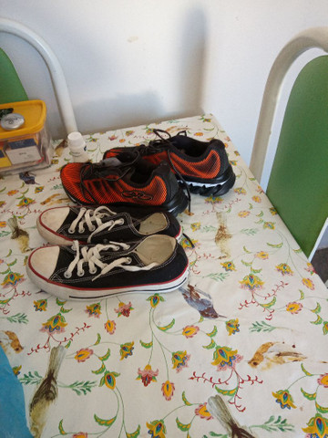 tenis olympikus star