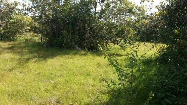 Fazenda em Dois Irmãos. 47 mil por alqueire. - Foto 5