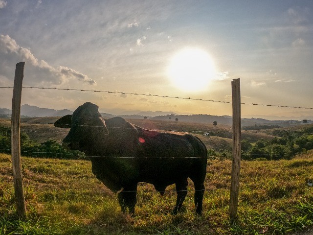 Últimos lotes ( Barão do Império ) Santa Leopoldina ES - Foto 3
