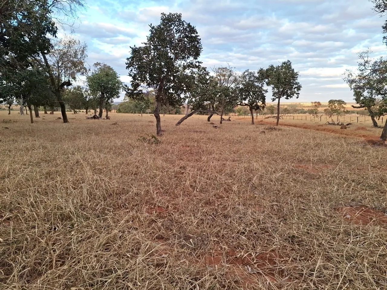 Chácara 2,5 km de Bela Vista de Goiás.  - Foto 4