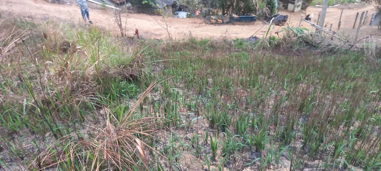 foto - São José dos Campos - Jardim Telespark