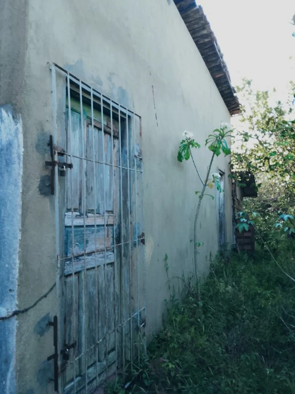 Sitio no Retiro com nascente de água!