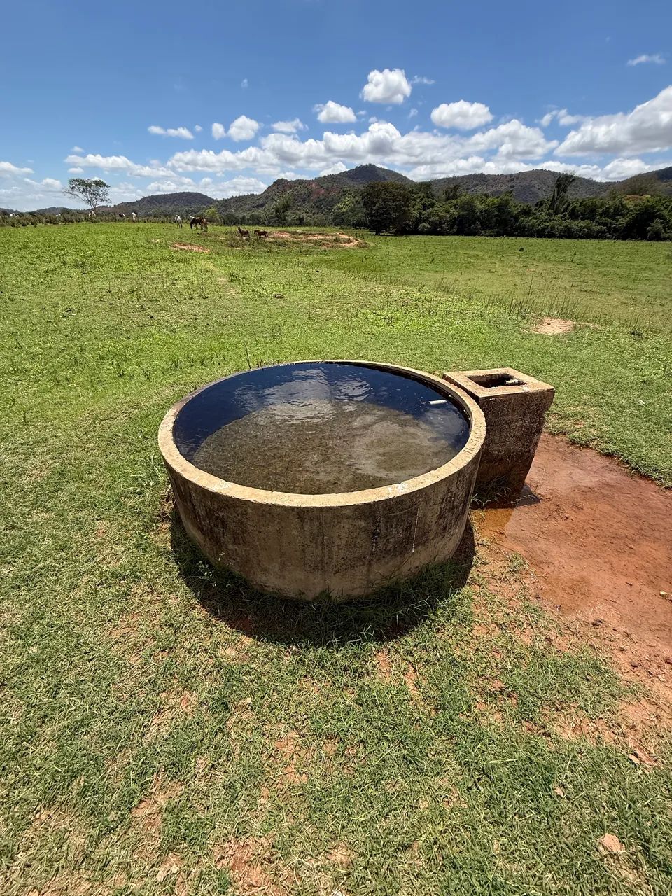 Fazenda no Naque/MG - 97 hectares  - Foto 4
